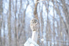 Owl Sanctuary in Minnesota - Hero Image